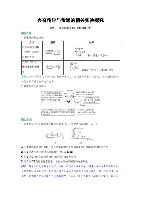 2025年高中生物高考精品备课教案：兴奋传导与传递的相关实验探究