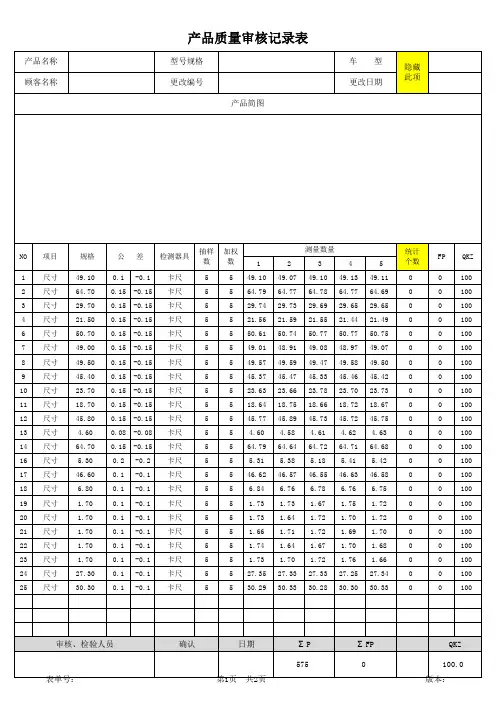 IATF16949产品质量审核记录范例