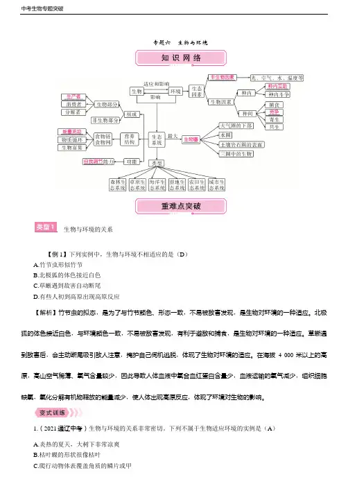 中考生物专项突破 专题6 生物与环境