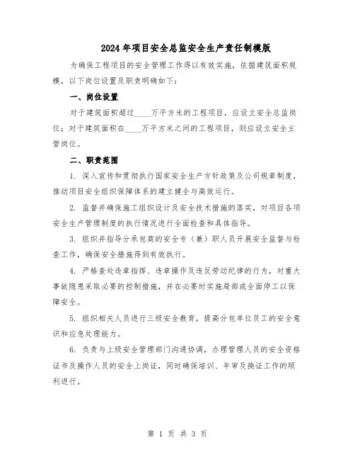 2024年项目安全总监安全生产责任制模版（二篇）