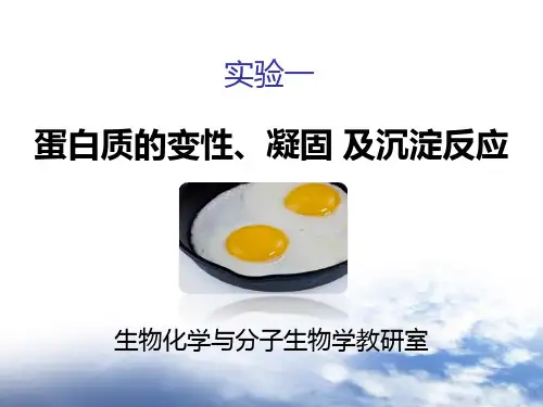 生化实验-蛋白质的变性、凝固及沉淀反应性质.ppt