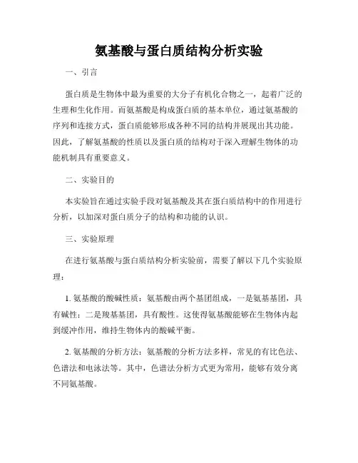 氨基酸与蛋白质结构分析实验