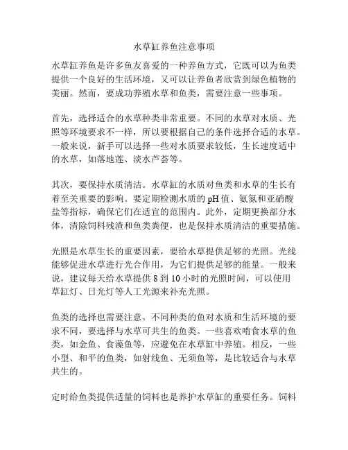 水草缸养鱼注意事项