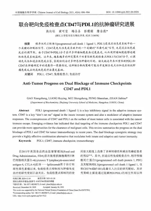 联合靶向免疫检查点CD47与PDL1的抗肿瘤研究进展