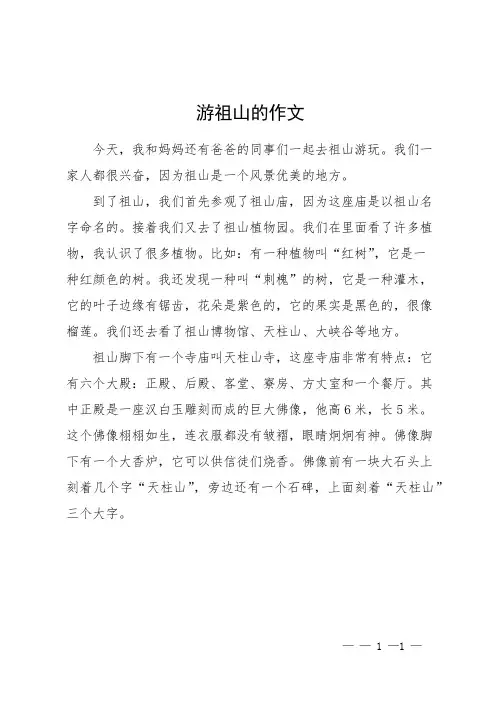 游祖山的作文