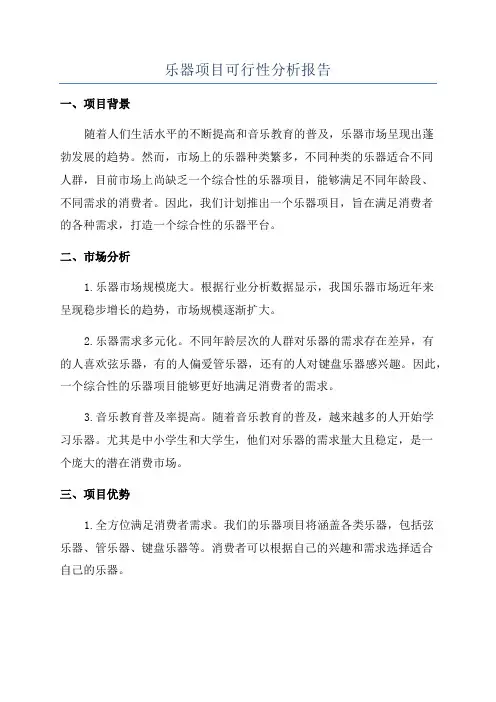 乐器项目可行性分析报告