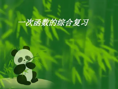 一次函数的复习专题[下学期]PPT课件
