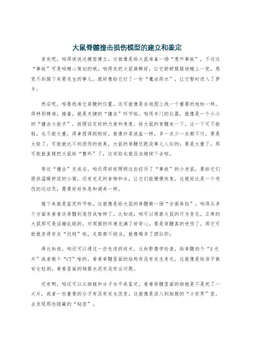 大鼠脊髓撞击损伤模型的建立和鉴定