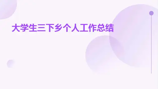大学生三下乡个人工作总结PPT