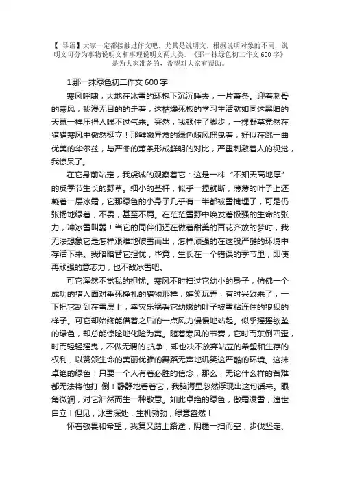 那一抹绿色初二作文600字10篇