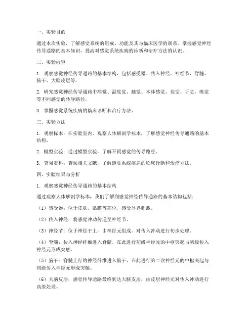 解剖感觉系统实验报告