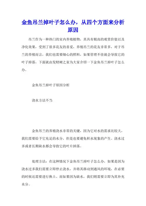 金鱼吊兰掉叶子怎么办,从四个方面来分析原因