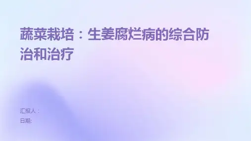 蔬菜栽培：生姜腐烂病的综合防治和治疗