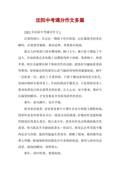 沈阳中考满分作文多篇