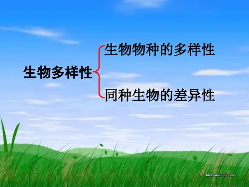 同种生物的差异性
