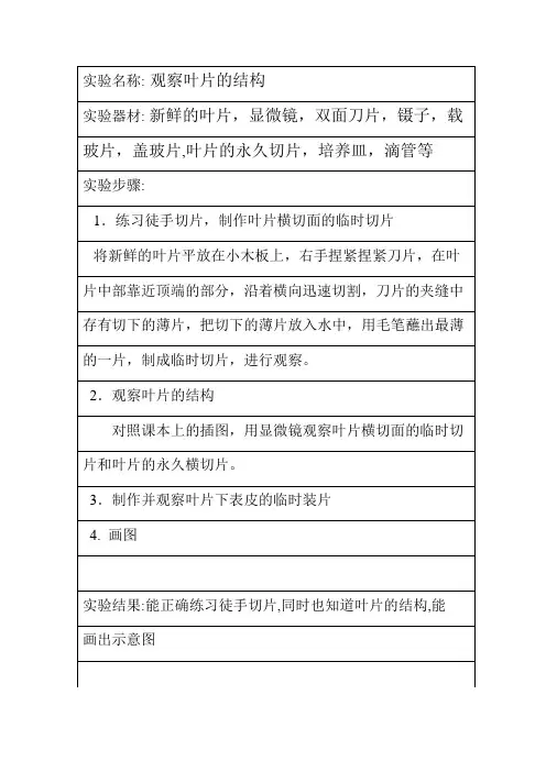 实验七++观察叶片的结构