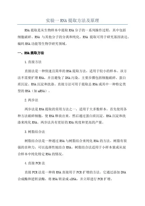 实验一RNA提取方法及原理
