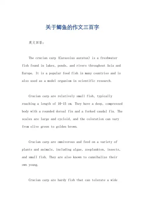 关于鲫鱼的作文三百字
