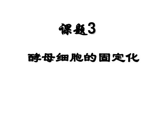 人教版高中生物选修一4.3 酵母细胞的固定化(定) (共39张PPT)