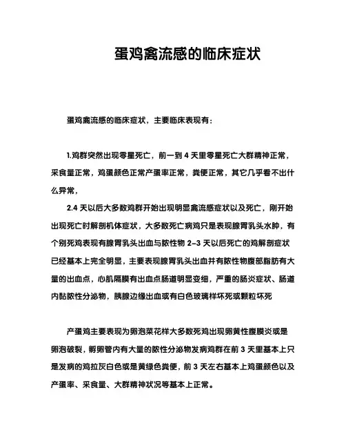 蛋鸡禽流感的临床症状