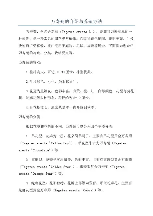 万寿菊的介绍与养殖方法