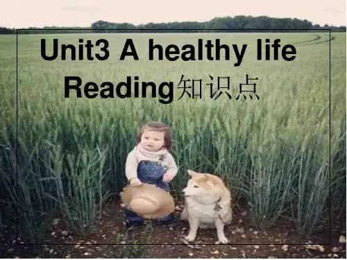 选修六unit3Reading知识点课件