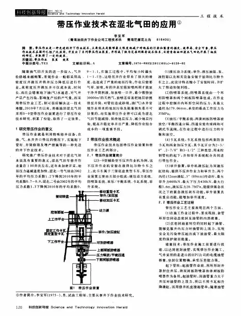 带压作业技术在涩北气田的应用