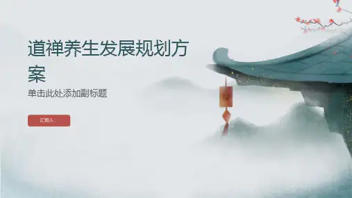 道禅养生发展规划方案