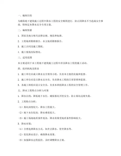 降水安全专项方案