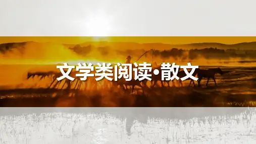 高考语文一轮复习ppt课件-文学类散文(文学短评-利用小文体、写好小评论)