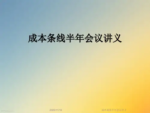 成本条线半年会议讲义