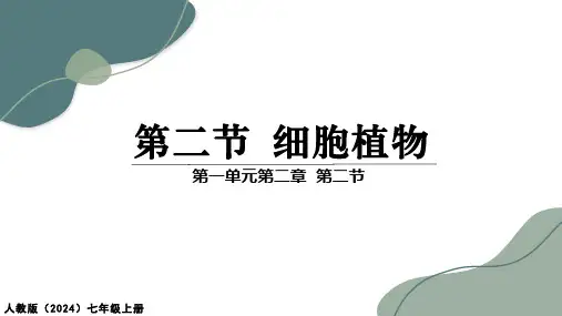 1.2.2  植物细胞  课件-人教版生物七年级上册