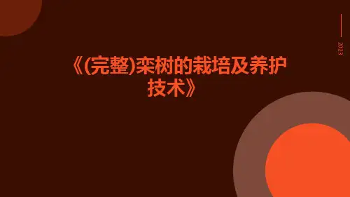 (完整)栾树的栽培及养护技术