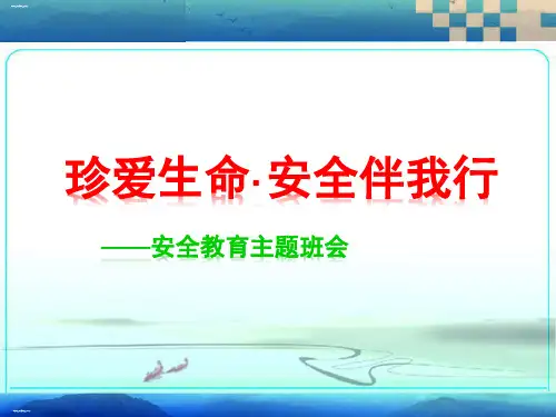 珍爱生命 安全伴我行 ——安全教育主题班会课件(共32张PPT)