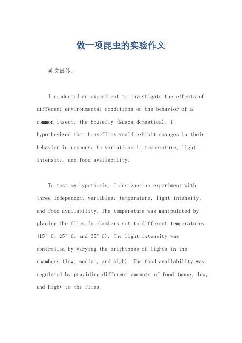 做一项昆虫的实验作文