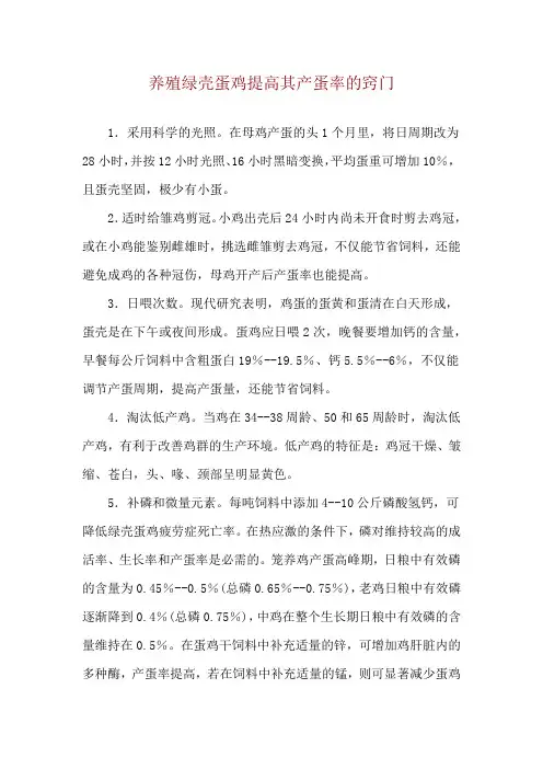 养殖绿壳蛋鸡提高其产蛋率的窍门