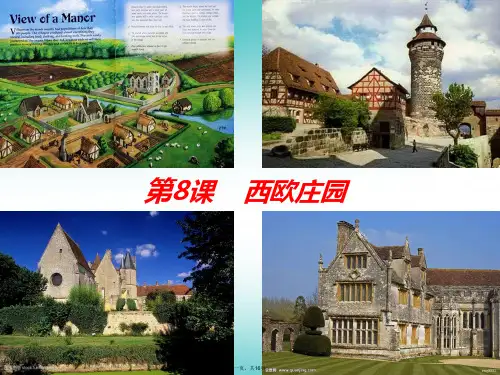 部编版九年级西欧庄园完美课件