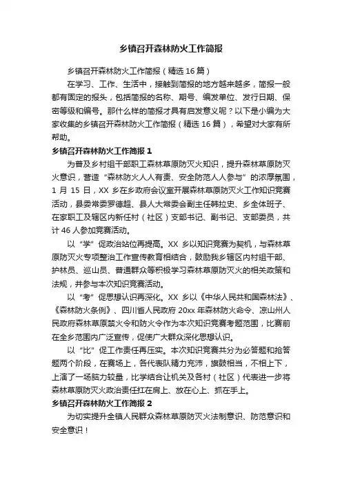 乡镇召开森林防火工作简报（精选16篇）