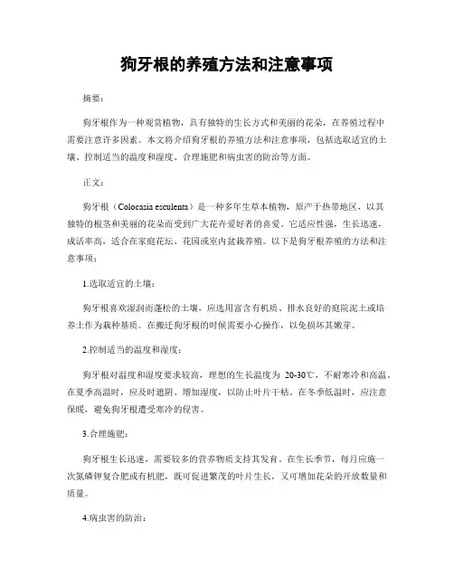 狗牙根的养殖方法和注意事项
