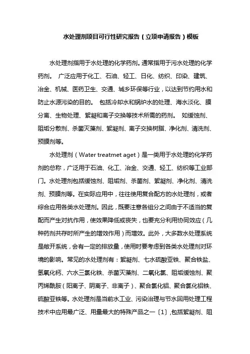水处理剂项目可行性研究报告(立项申请报告)模板