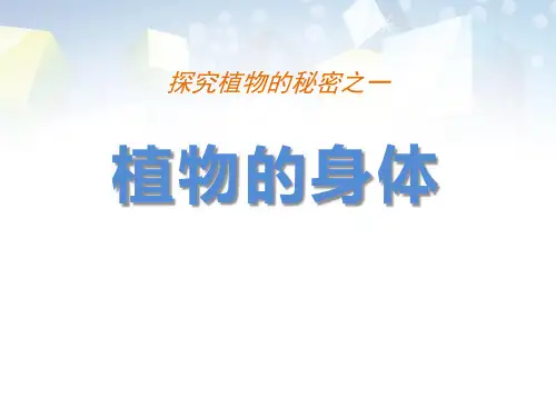 《植物的身体》植物生活的秘密 图文