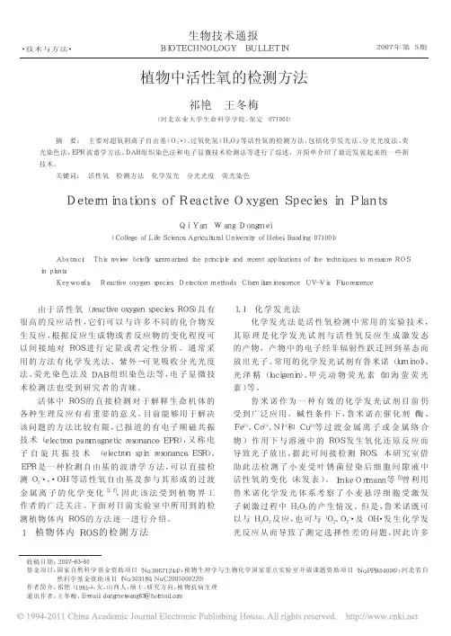 植物中活性氧的检测方法