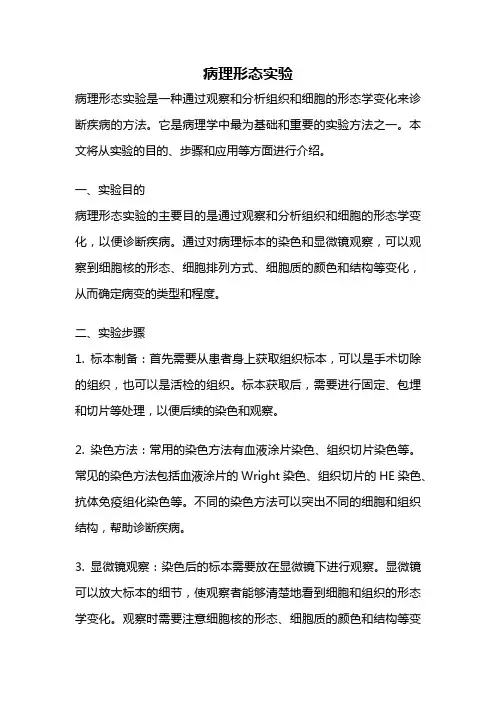 病理形态实验