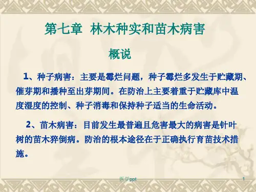 林木种实和苗木病害