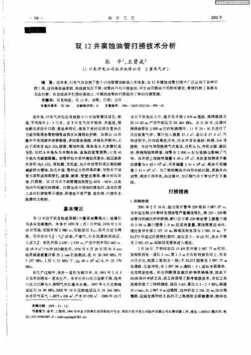 双12井腐蚀油管打捞技术分析