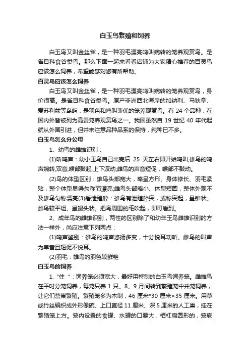 白玉鸟繁殖和饲养