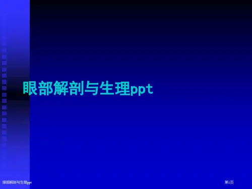 眼部解剖与生理ppt