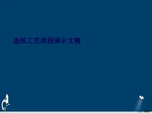 造纸工艺流程演示文稿