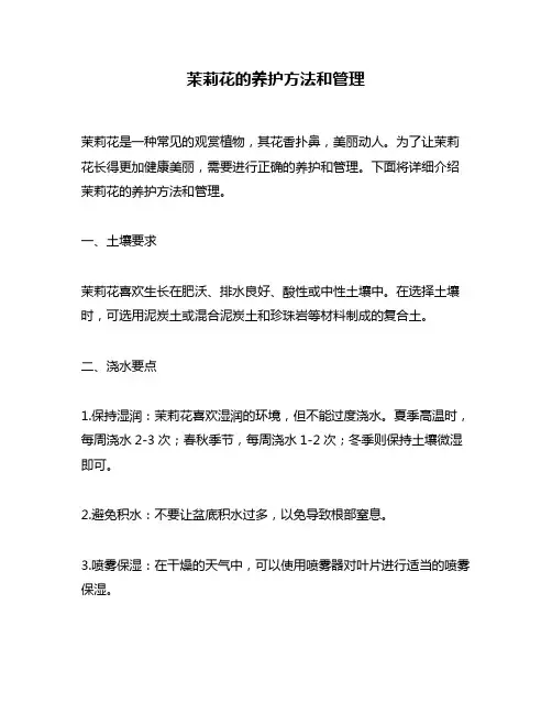 茉莉花的养护方法和管理