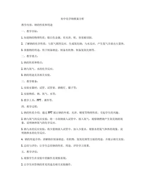 初中化学钠教案分析